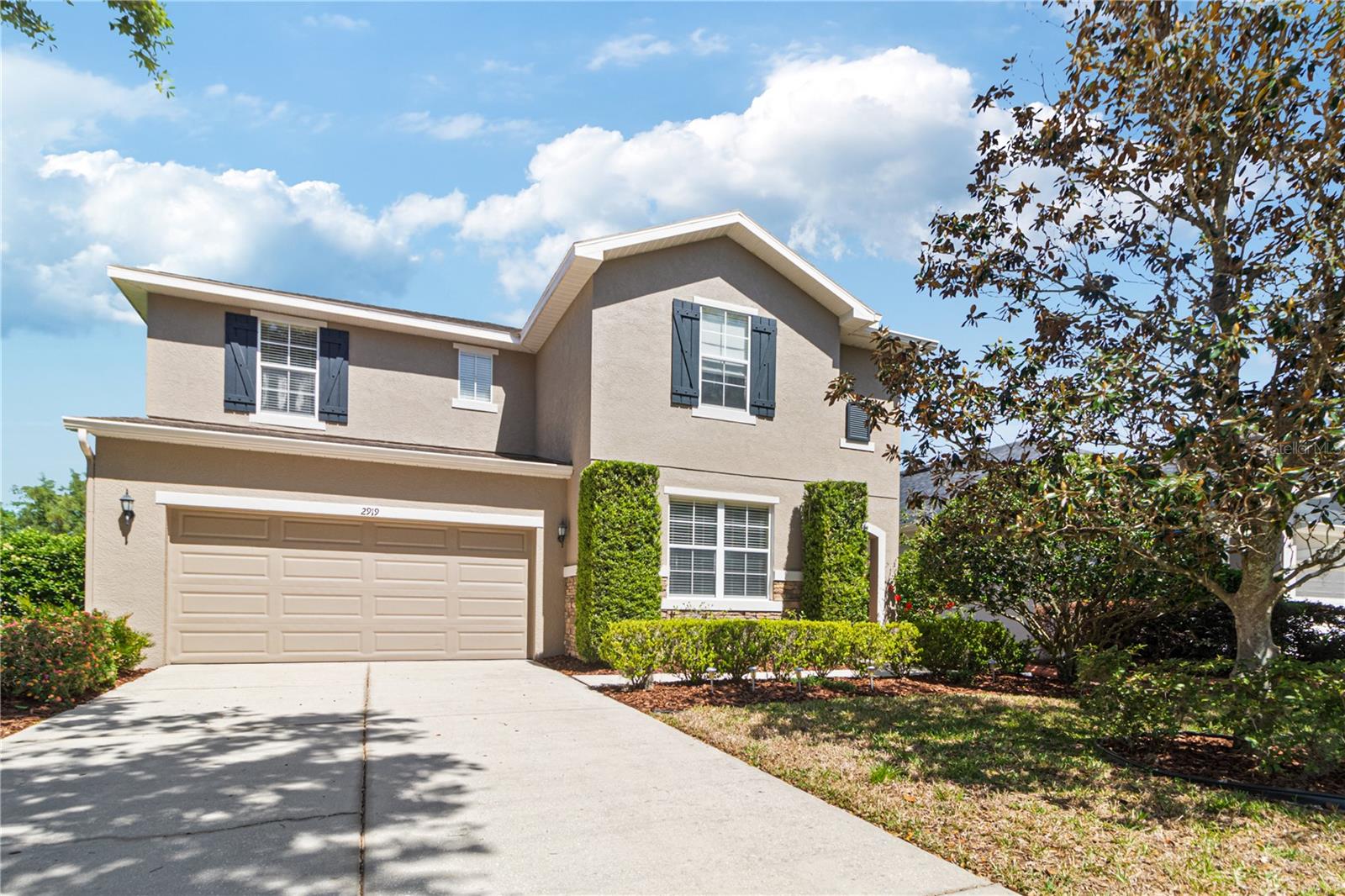 2919 CYPRESS BOWL RD, LUTZ, FL, 33558