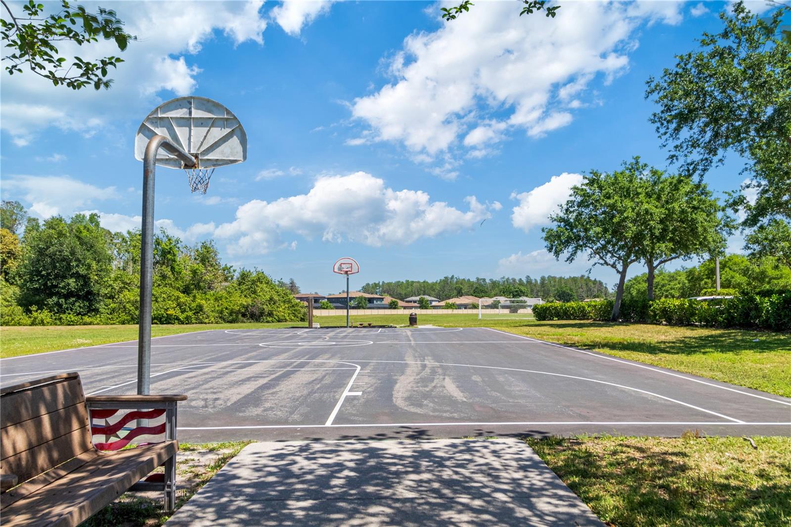 2919 CYPRESS BOWL RD, LUTZ, FL, 33558