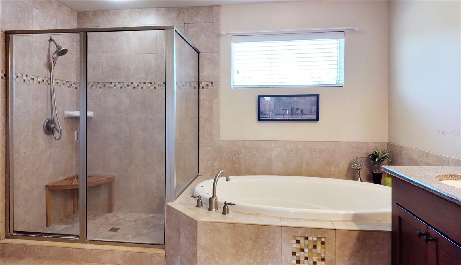 2919 CYPRESS BOWL RD, LUTZ, FL, 33558