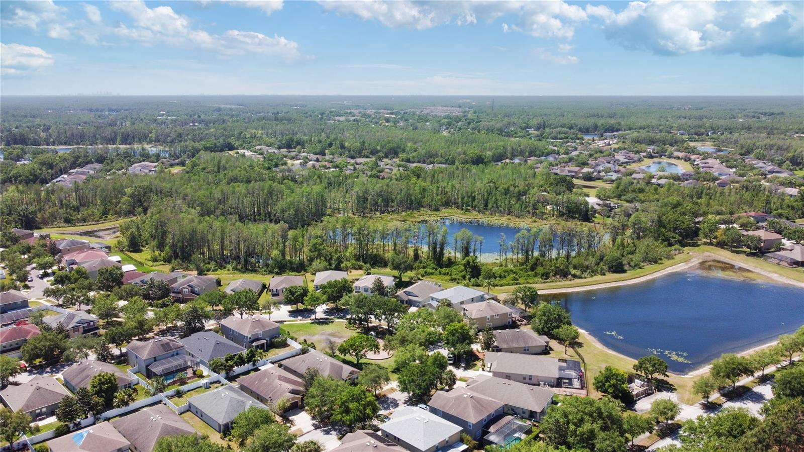 2919 CYPRESS BOWL RD, LUTZ, FL, 33558