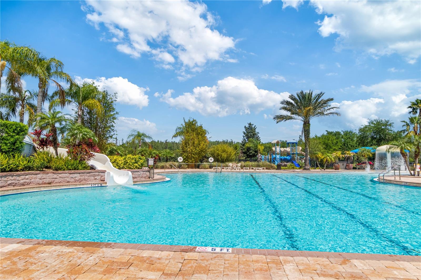 2919 CYPRESS BOWL RD, LUTZ, FL, 33558