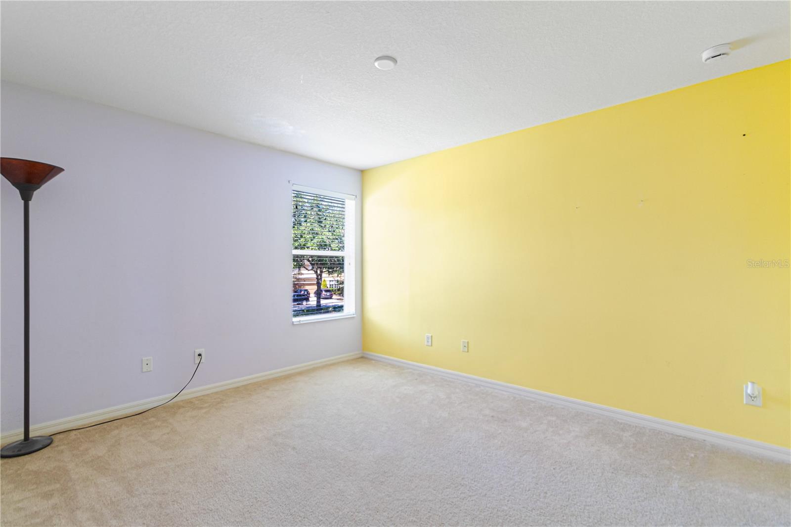 2919 CYPRESS BOWL RD, LUTZ, FL, 33558
