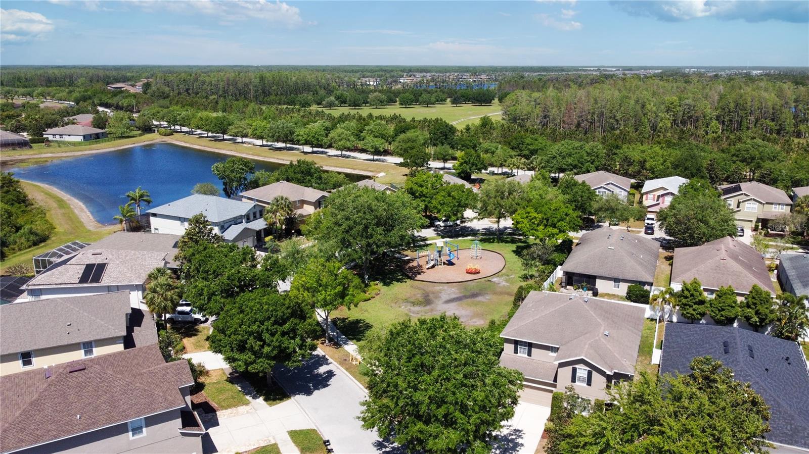 2919 CYPRESS BOWL RD, LUTZ, FL, 33558