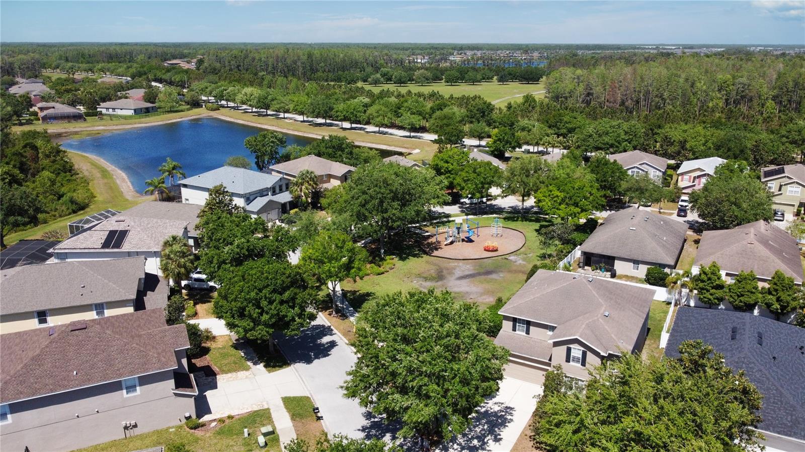 2919 CYPRESS BOWL RD, LUTZ, FL, 33558