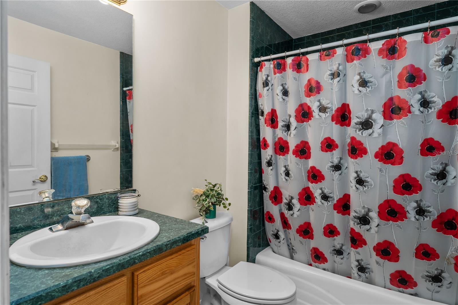 16091 NE 55TH ST, WILLISTON, FL, 32696