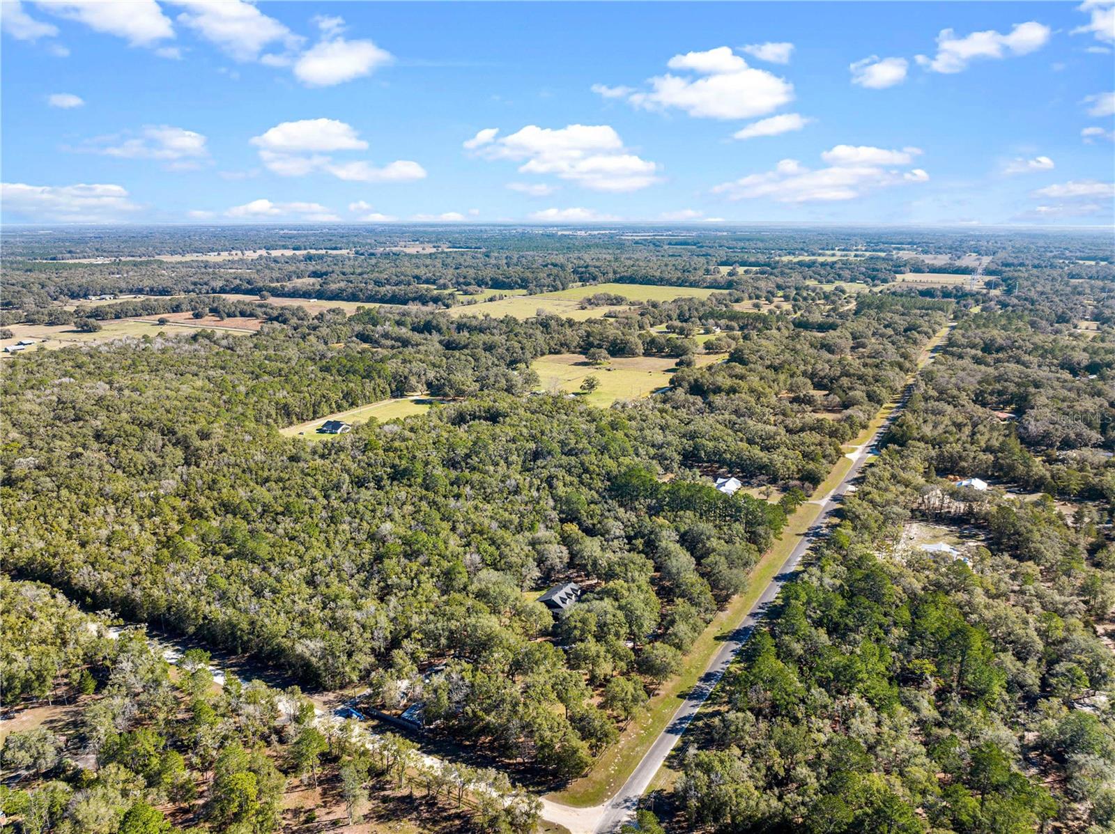 16091 NE 55TH ST, WILLISTON, FL, 32696