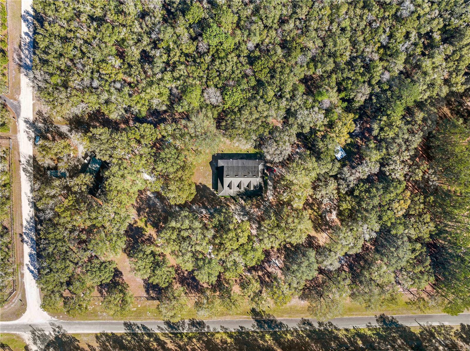 16091 NE 55TH ST, WILLISTON, FL, 32696