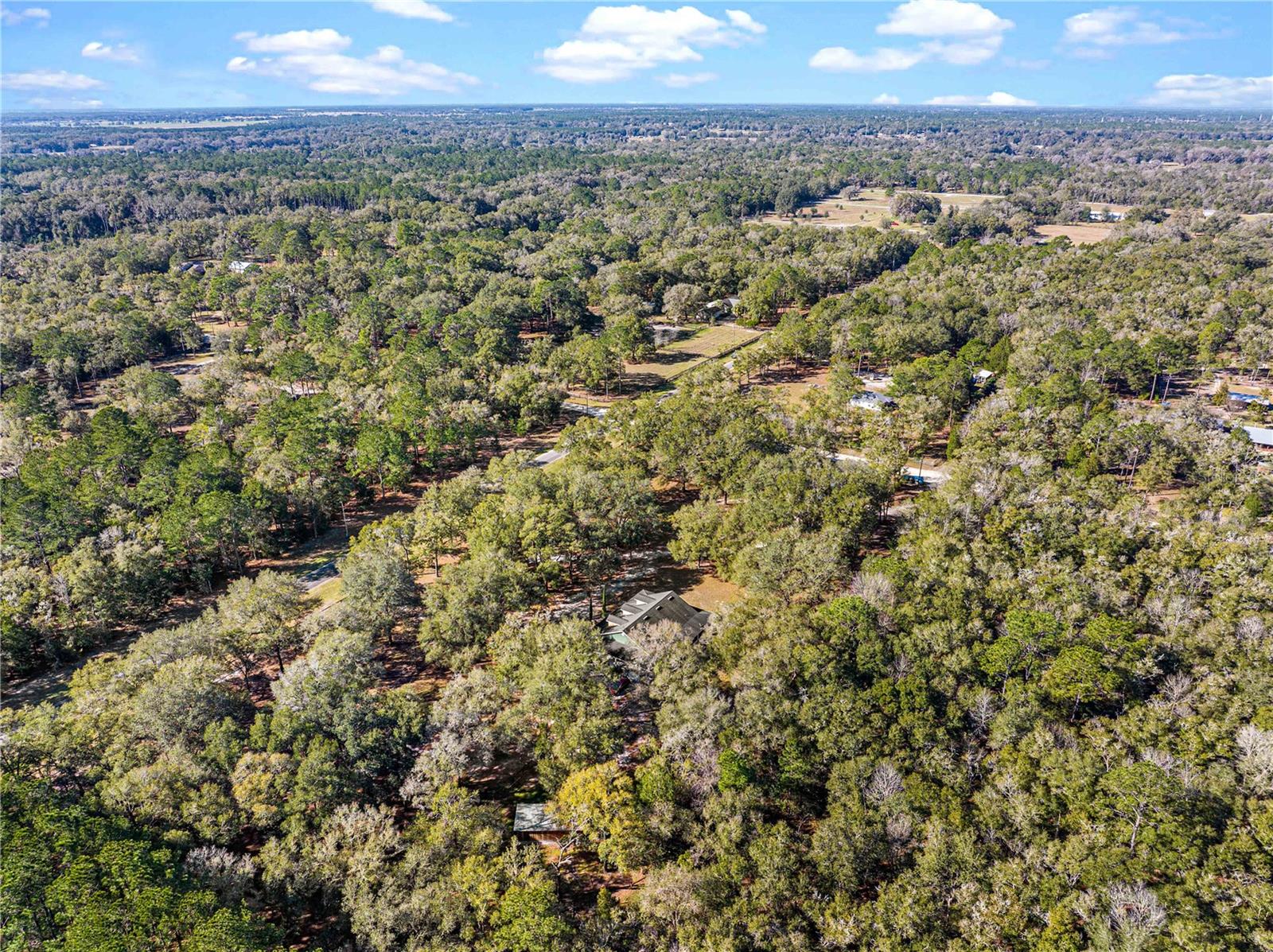 16091 NE 55TH ST, WILLISTON, FL, 32696