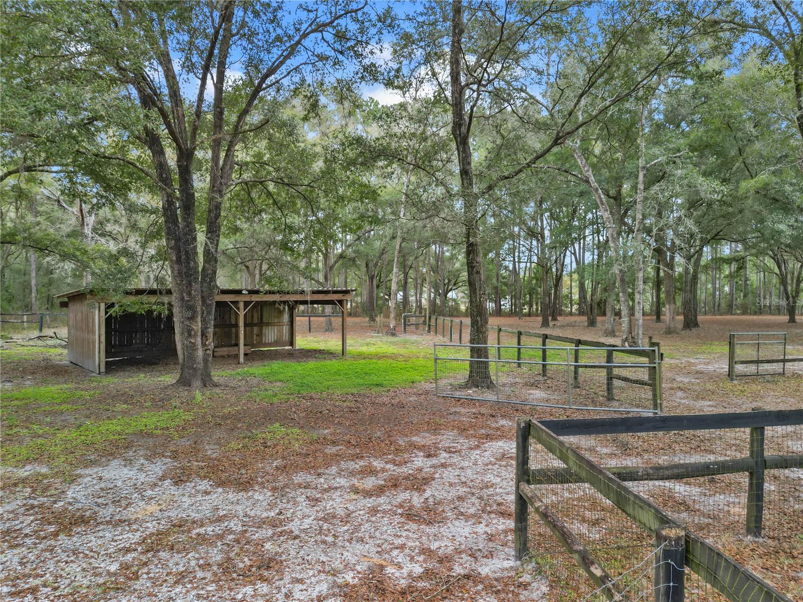 16091 NE 55TH ST, WILLISTON, FL, 32696