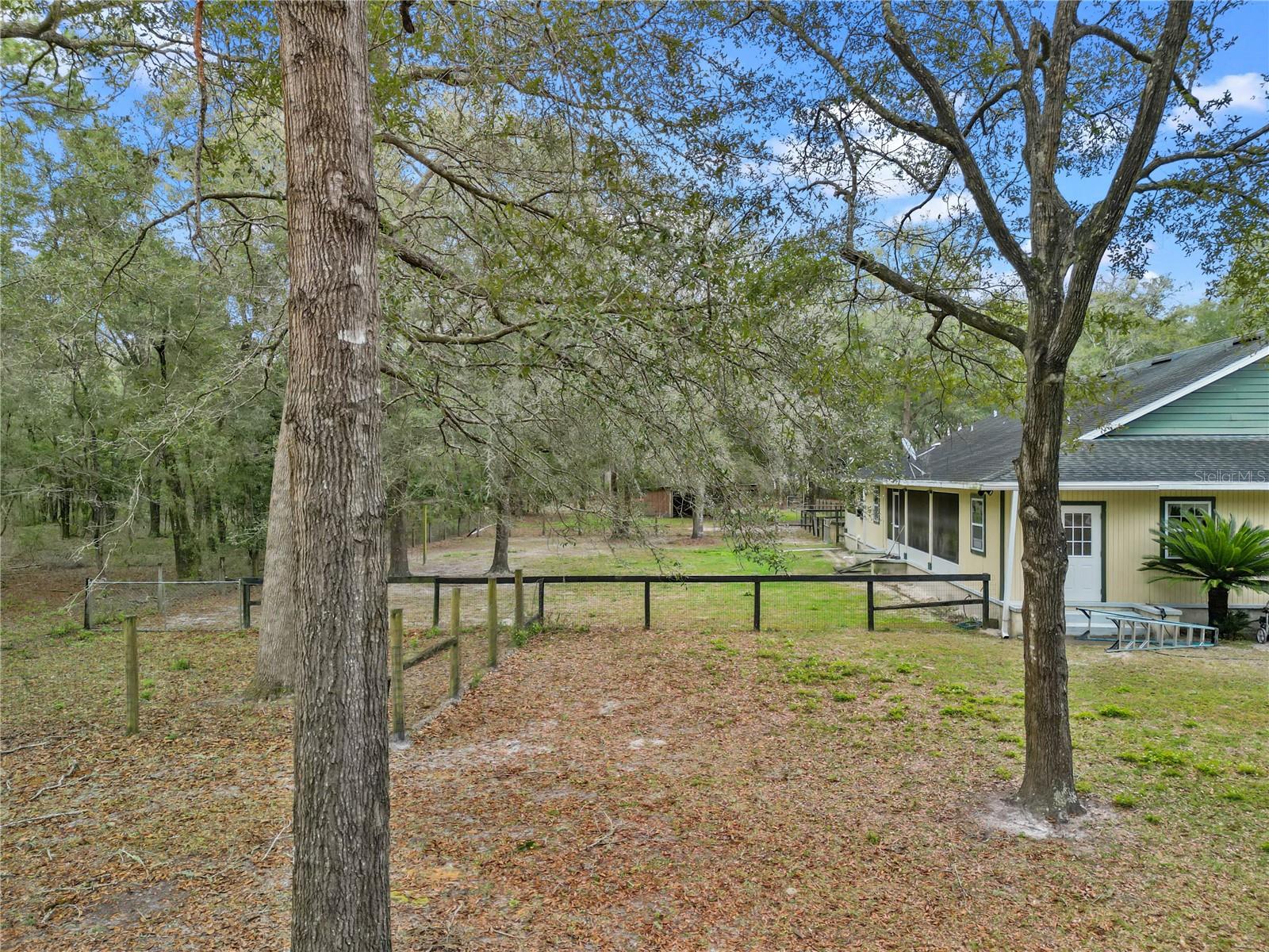 16091 NE 55TH ST, WILLISTON, FL, 32696