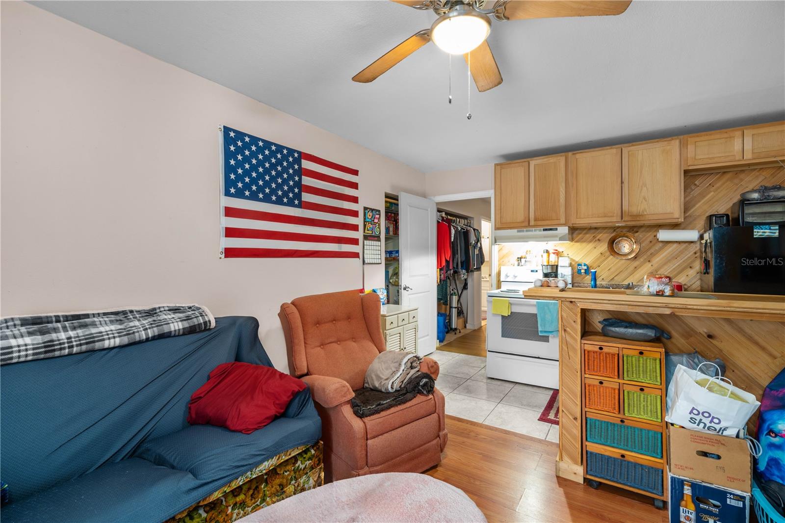 16091 NE 55TH ST, WILLISTON, FL, 32696