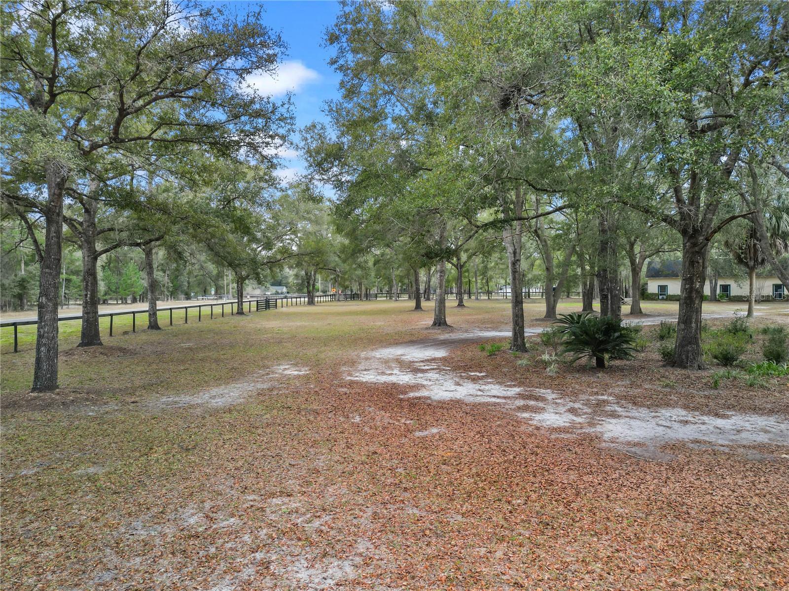 16091 NE 55TH ST, WILLISTON, FL, 32696