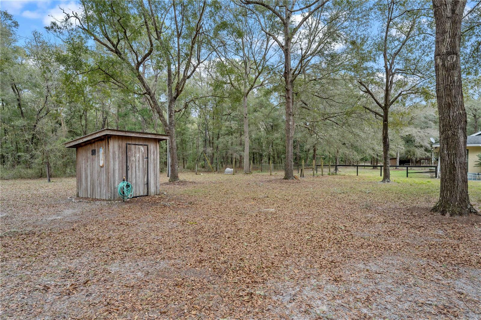 16091 NE 55TH ST, WILLISTON, FL, 32696