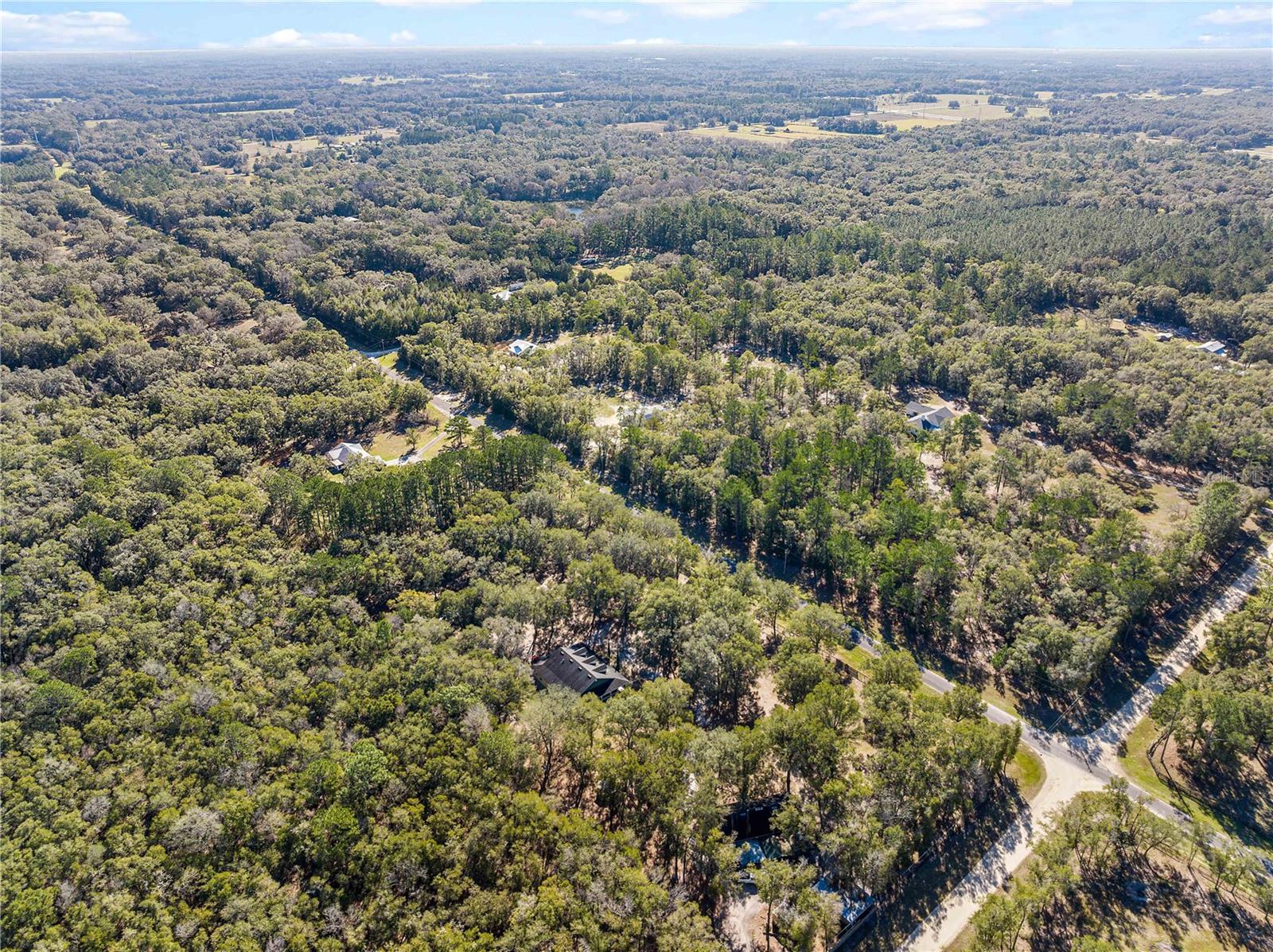 16091 NE 55TH ST, WILLISTON, FL, 32696