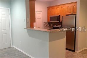 1910 E PALM AVE #11105, TAMPA, FL, 33605