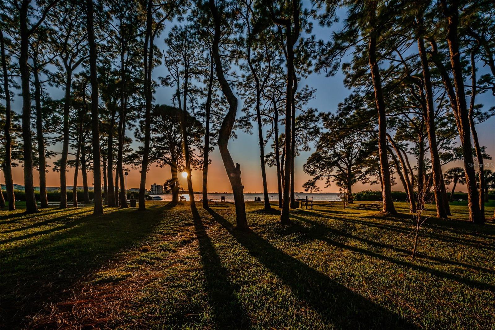 2700 BAYSHORE BLVD ##547, DUNEDIN, FL, 34698