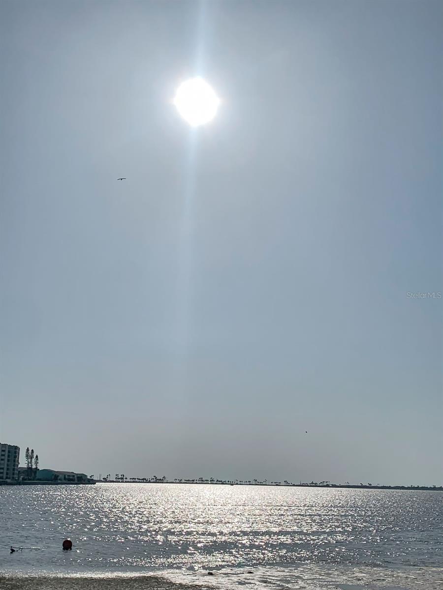 2700 BAYSHORE BLVD ##547, DUNEDIN, FL, 34698