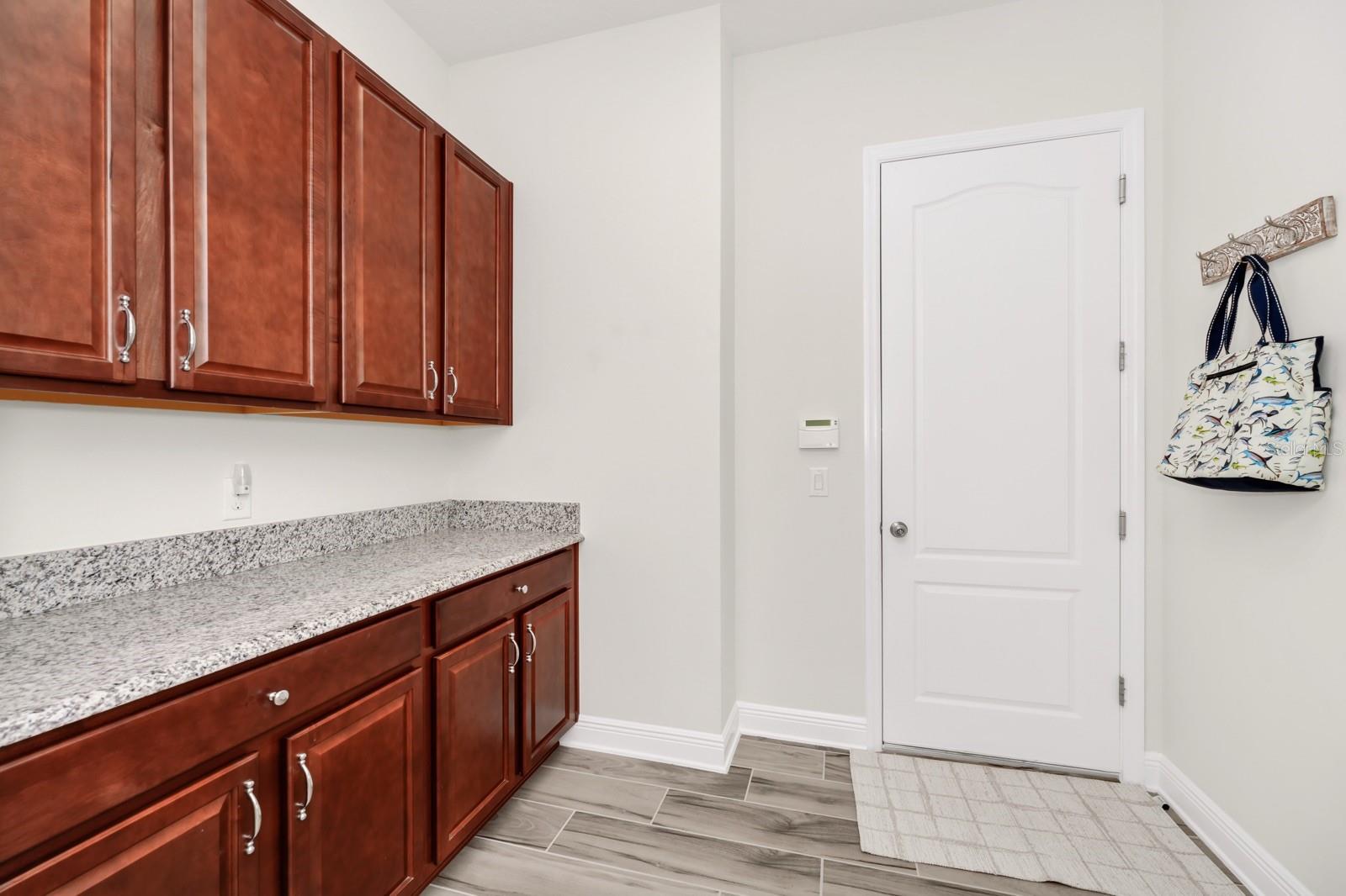 16182 JOHNS LAKE OVERLOOK DR, WINTER GARDEN, FL, 34787