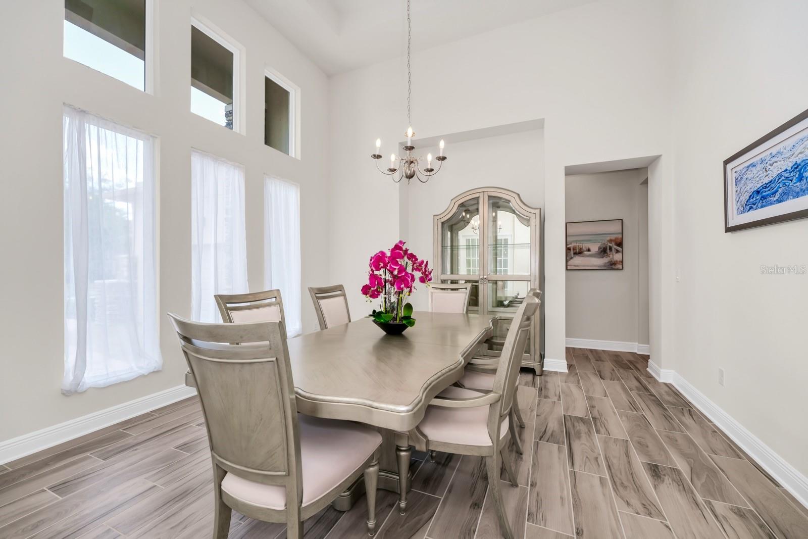 16182 JOHNS LAKE OVERLOOK DR, WINTER GARDEN, FL, 34787