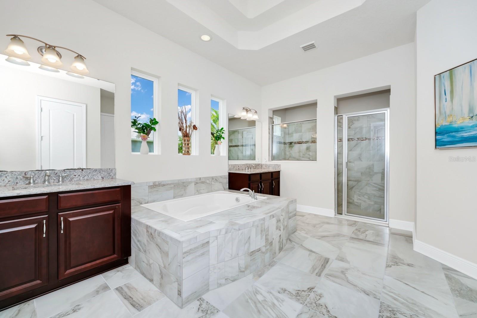 16182 JOHNS LAKE OVERLOOK DR, WINTER GARDEN, FL, 34787