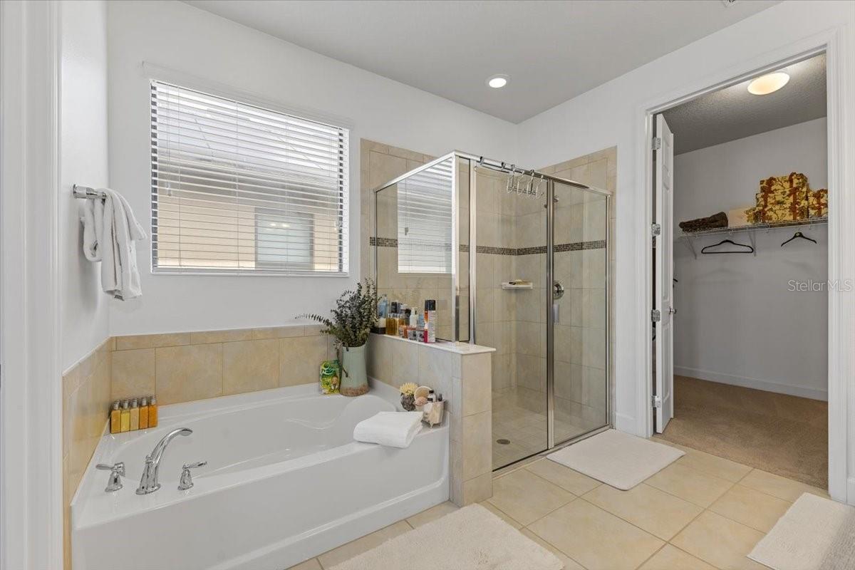 7180 BEEK ST, WINDERMERE, FL, 34786