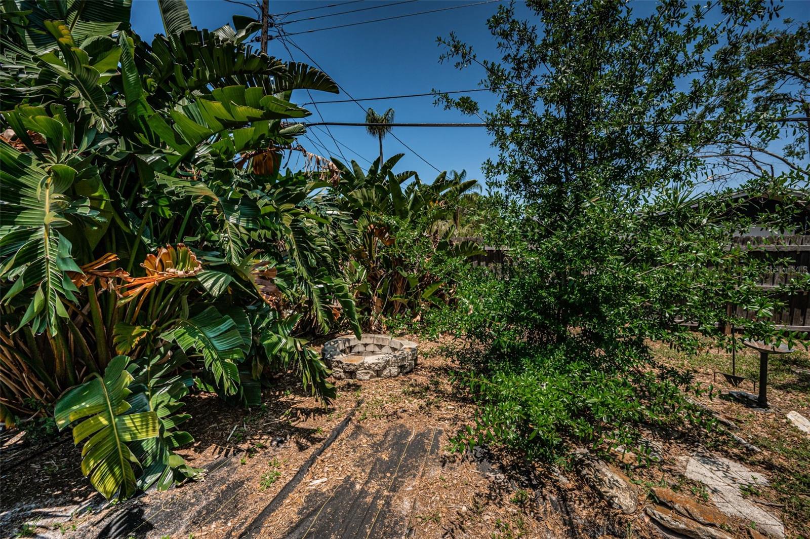 1622 ELIZABETH LN, CLEARWATER, FL, 33755