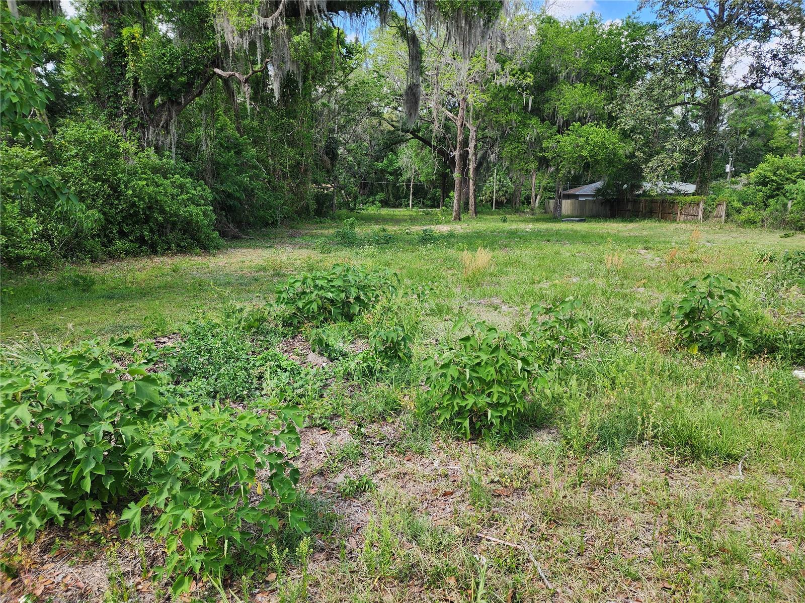 1007 NE 19TH ST, OCALA, FL, 34470