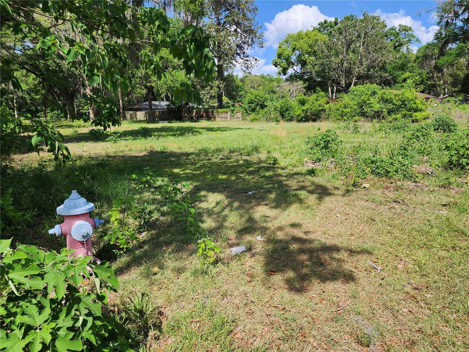1007 NE 19TH ST, OCALA, FL, 34470