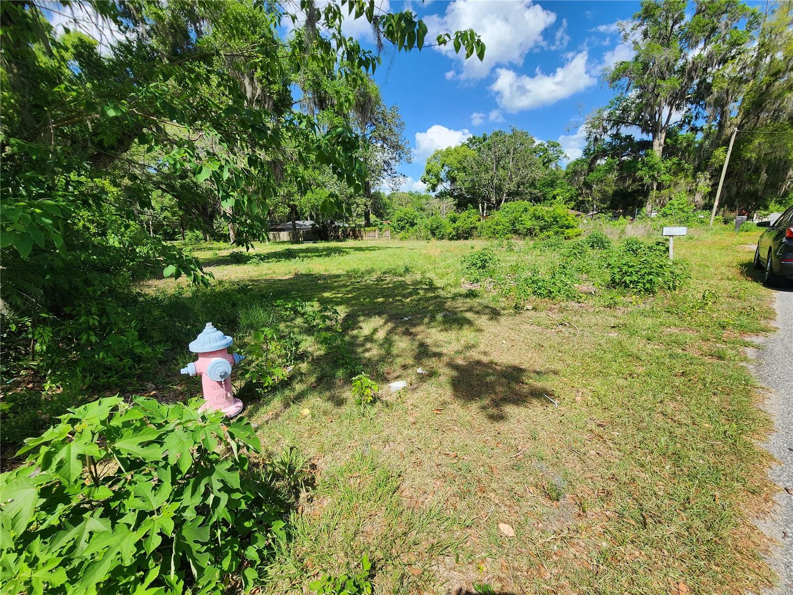 1007 NE 19TH ST, OCALA, FL, 34470