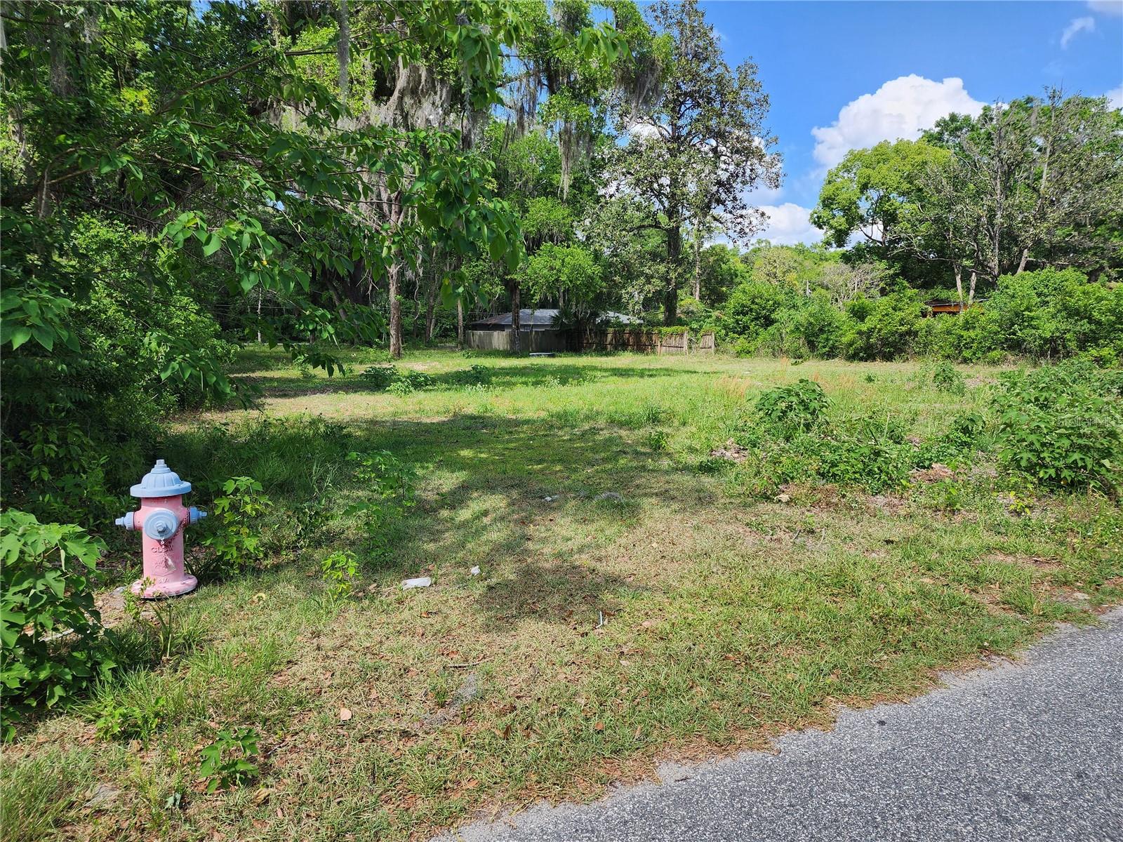 1007 NE 19TH ST, OCALA, FL, 34470
