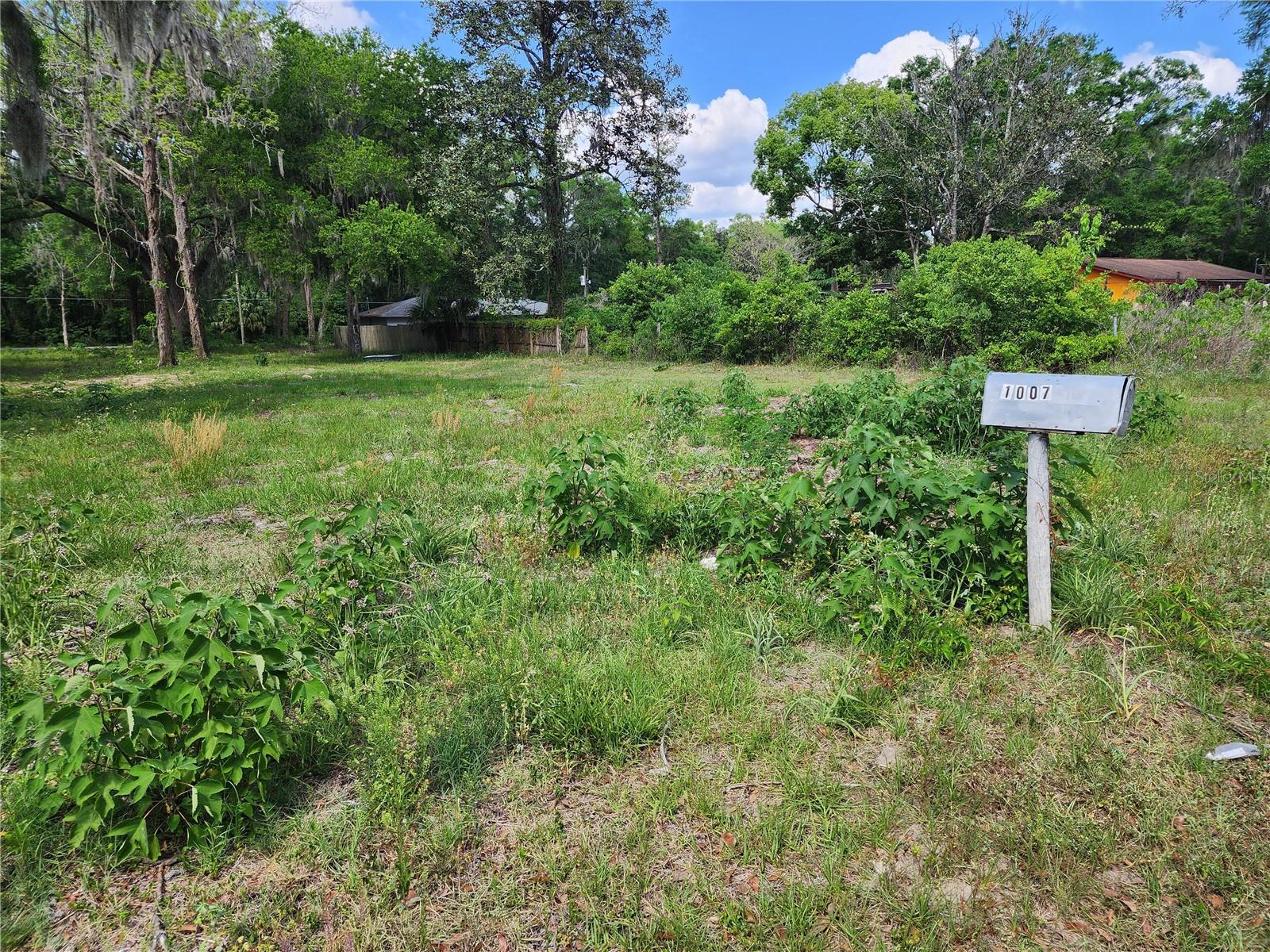 1007 NE 19TH ST, OCALA, FL, 34470