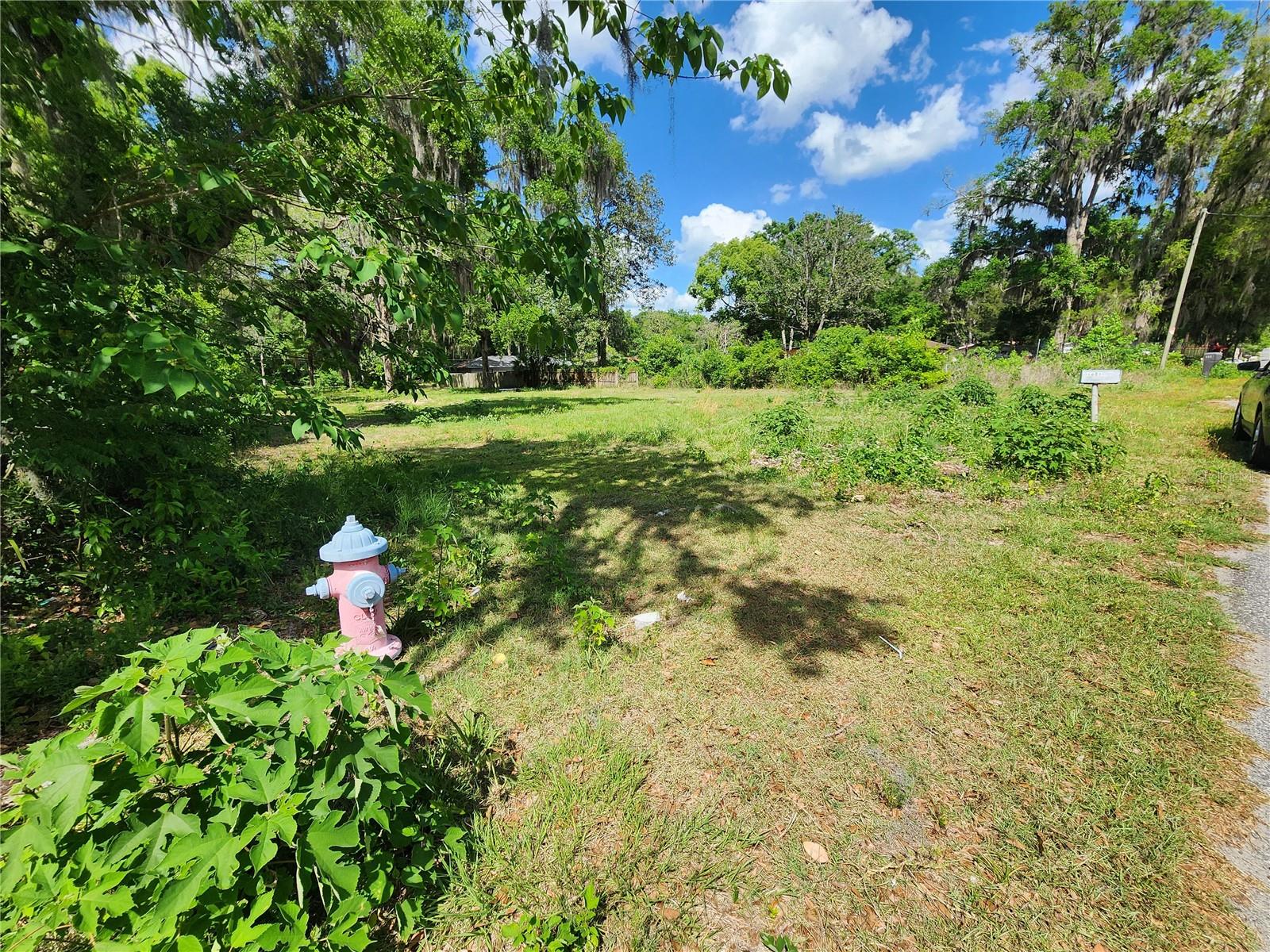 1007 NE 19TH ST, OCALA, FL, 34470