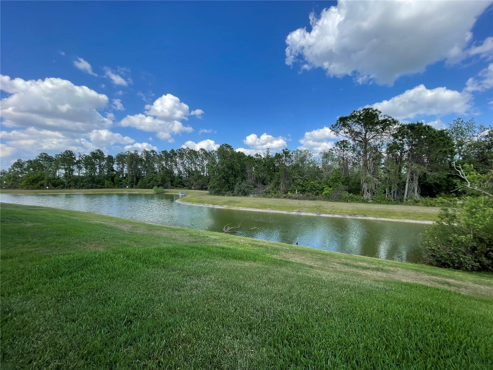 16153 ST CLAIR ST, CLERMONT, FL, 34714