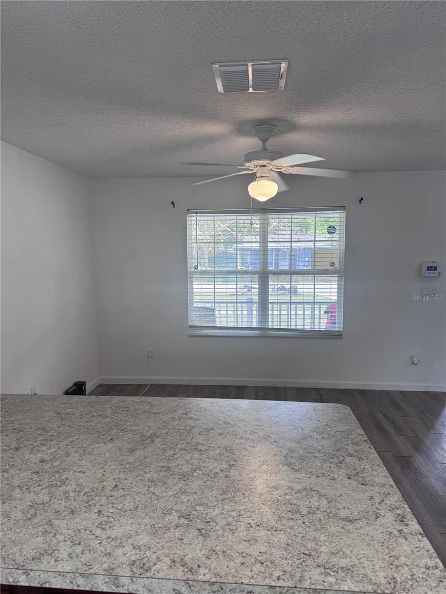 250 W ELLA J GILMORE ST, APOPKA, FL, 32703