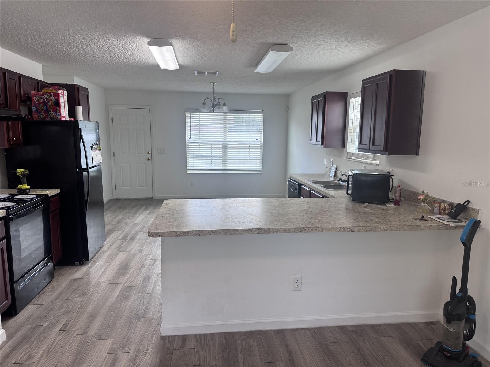 250 W ELLA J GILMORE ST, APOPKA, FL, 32703
