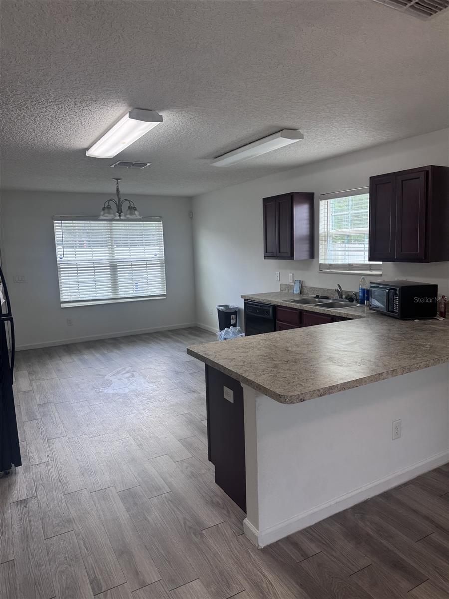 250 W ELLA J GILMORE ST, APOPKA, FL, 32703