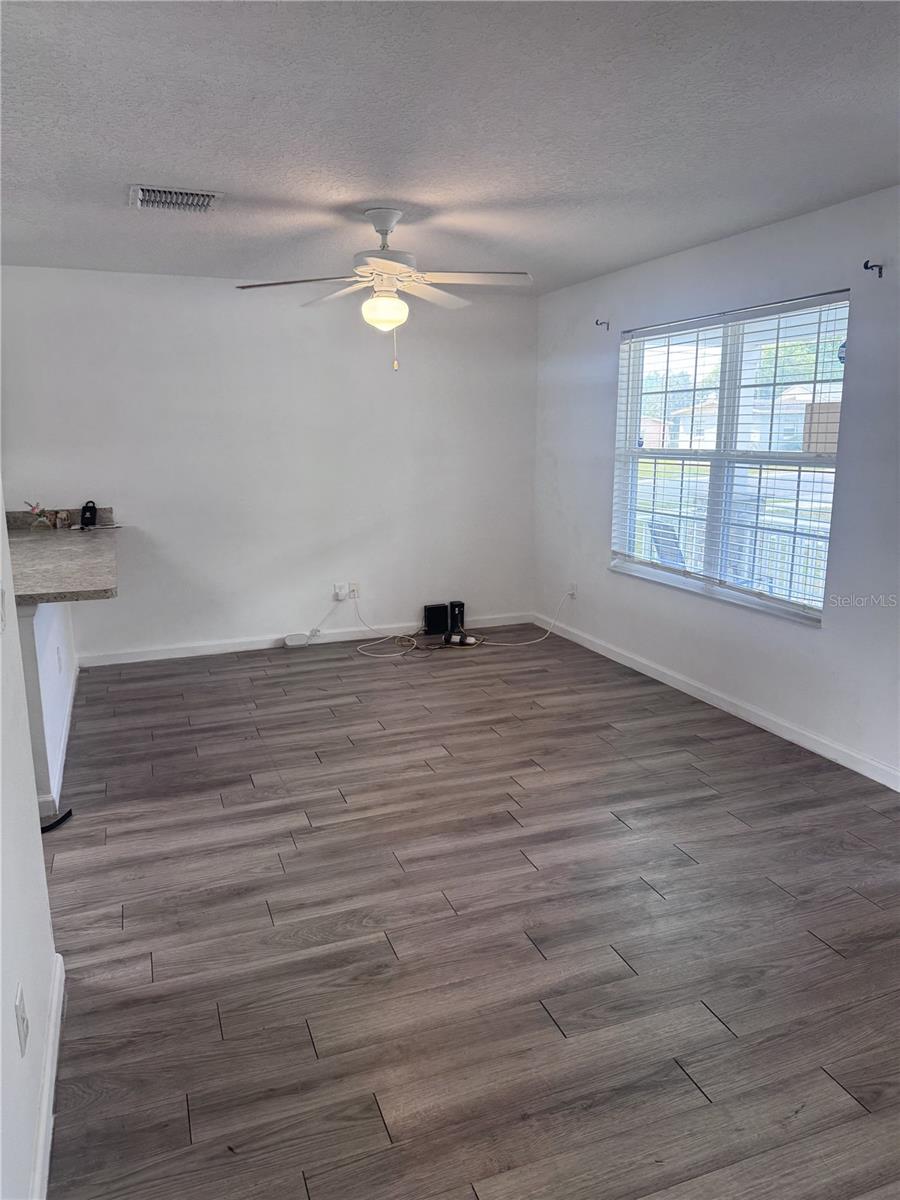250 W ELLA J GILMORE ST, APOPKA, FL, 32703
