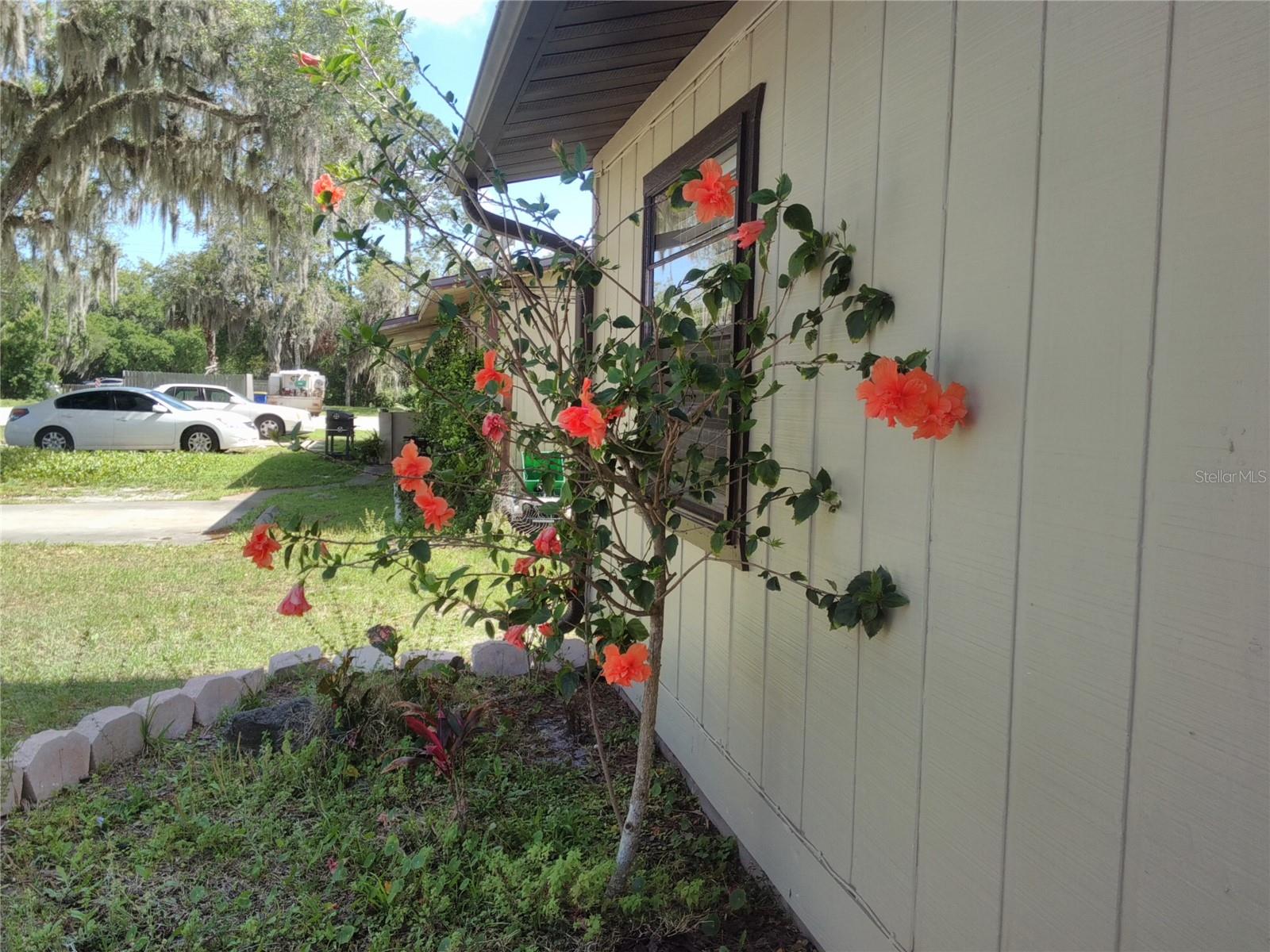 2422 INDIA PALM DR, EDGEWATER, FL, 32141