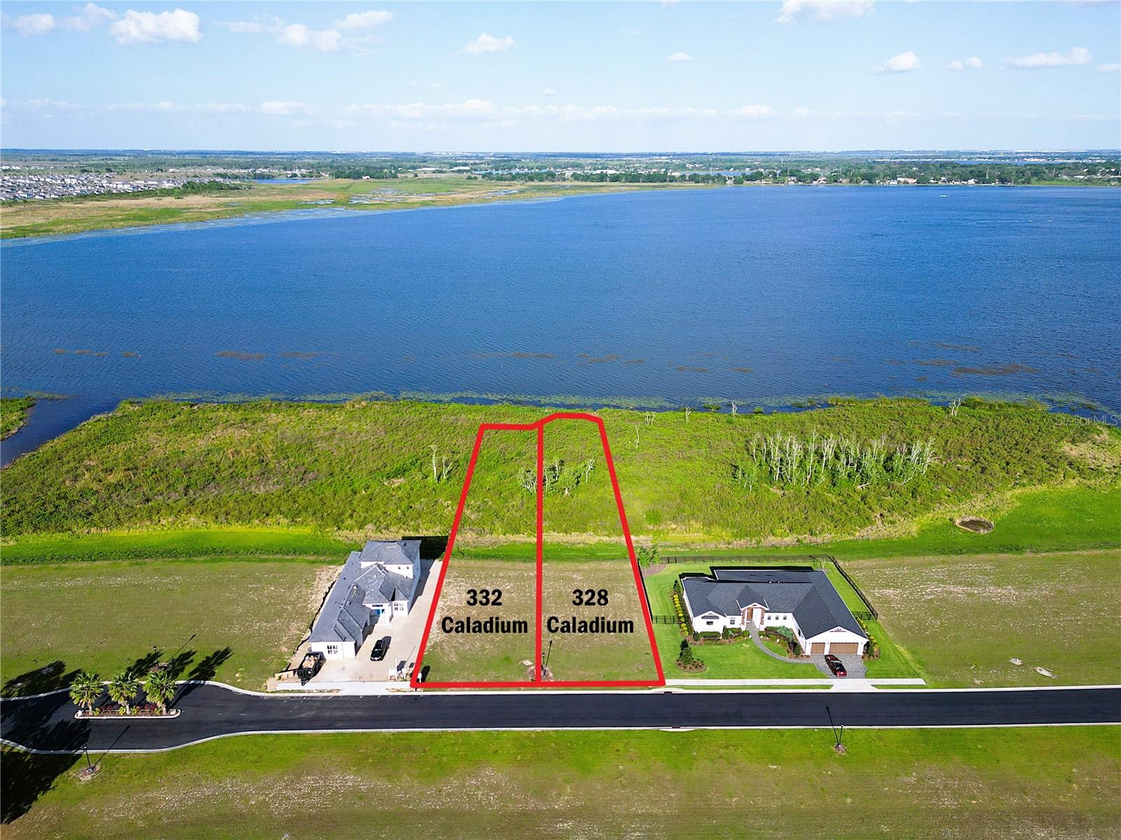 332 CALADIUM AVE, LAKE ALFRED, FL, 33850