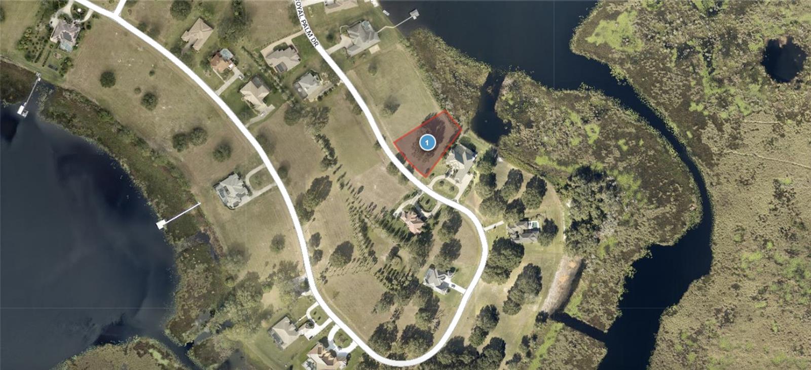 Lot 39 ROYAL PALM DR, GROVELAND, FL, 34736