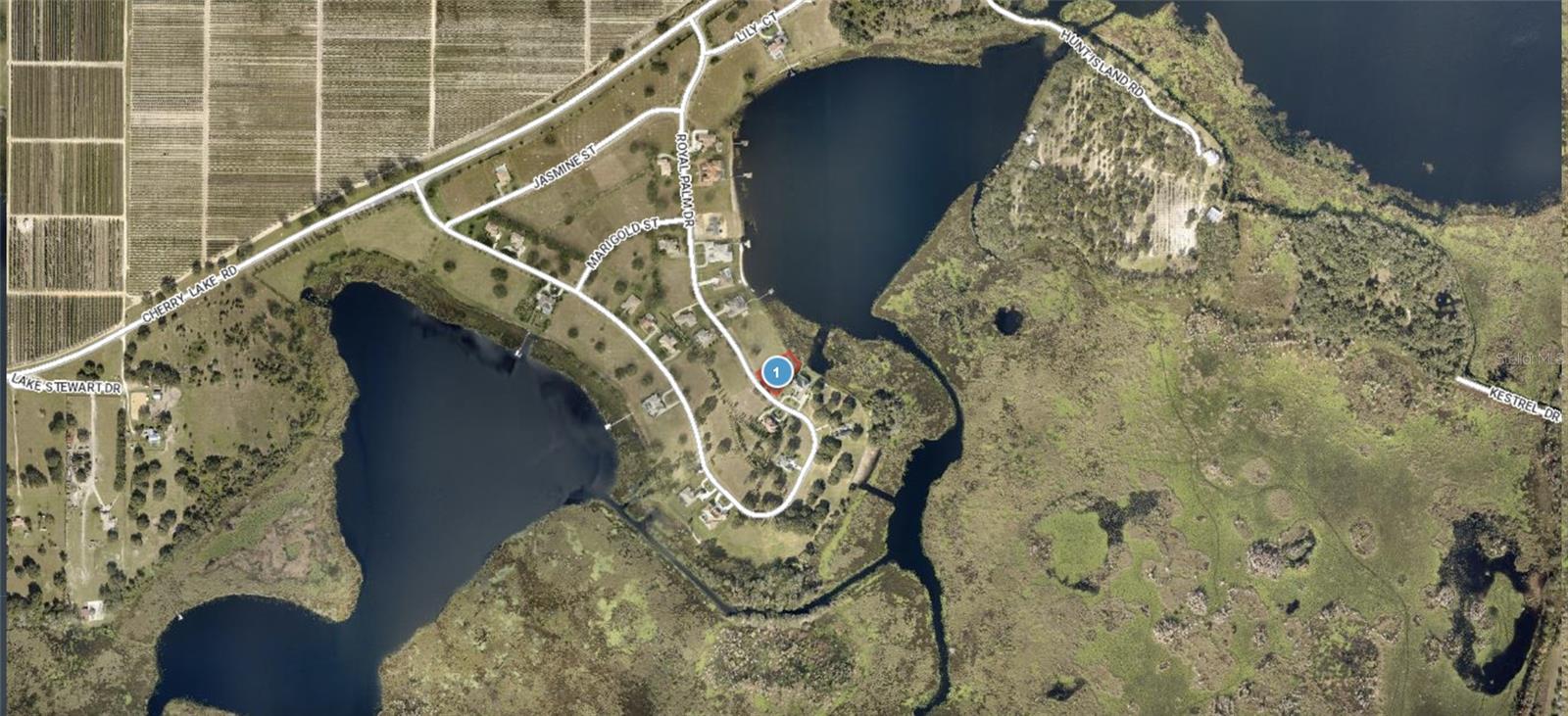 Lot 39 ROYAL PALM DR, GROVELAND, FL, 34736