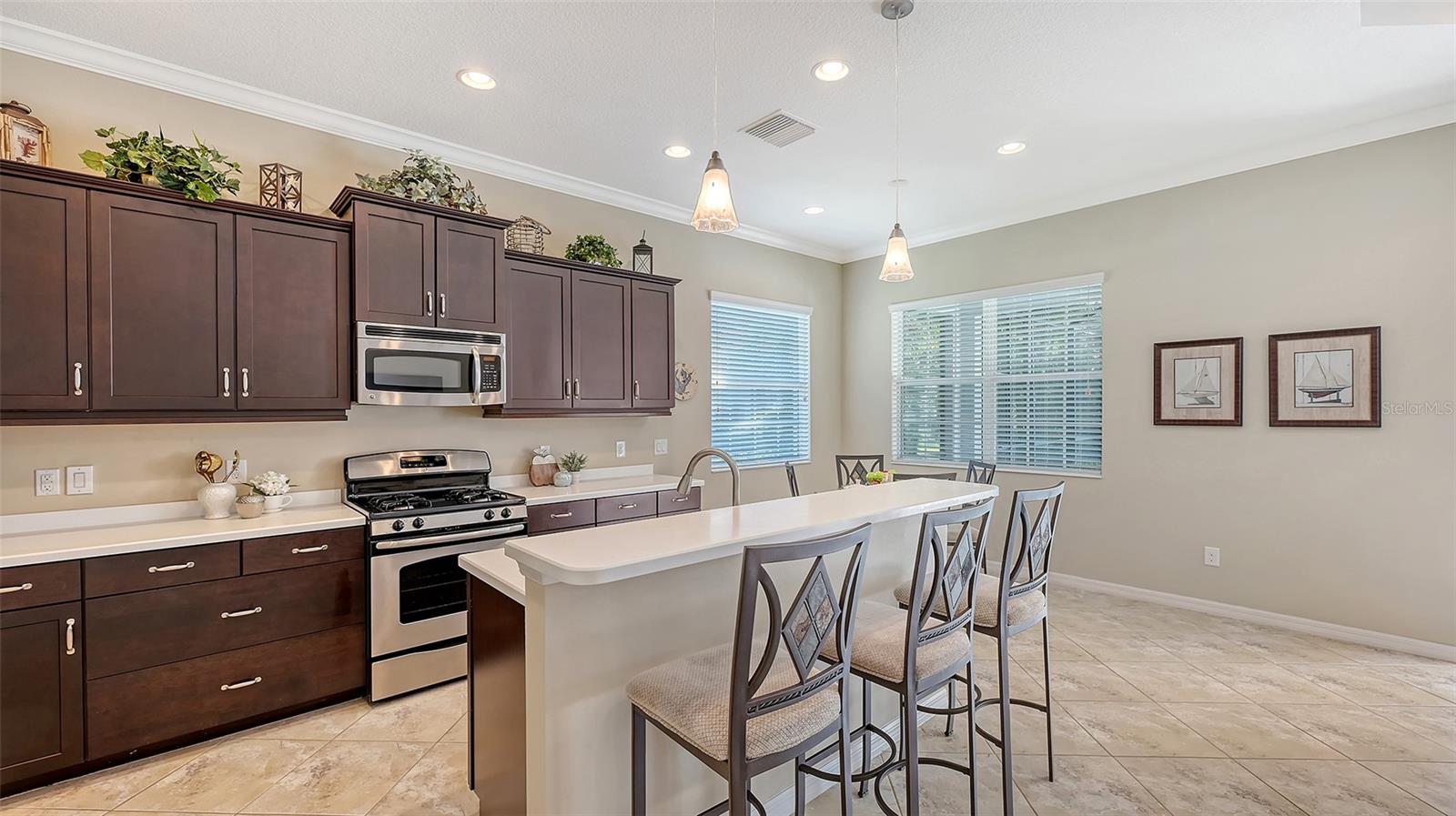 14350 STIRLING DR, LAKEWOOD RANCH, FL, 34202