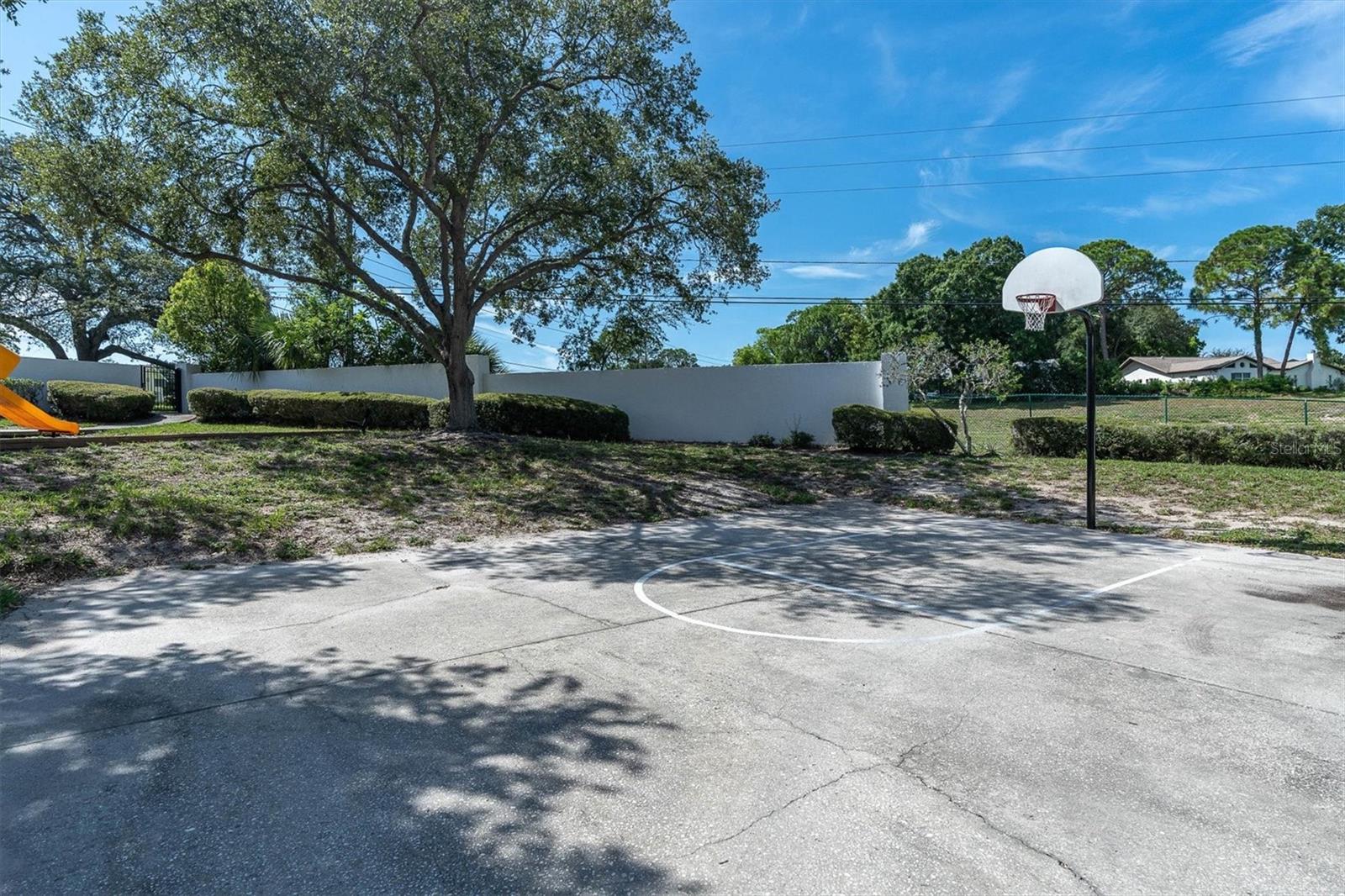 3260 HAVILAND CT #201, PALM HARBOR, FL, 34684