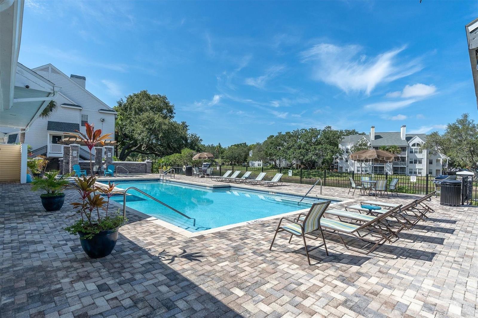 3260 HAVILAND CT #201, PALM HARBOR, FL, 34684