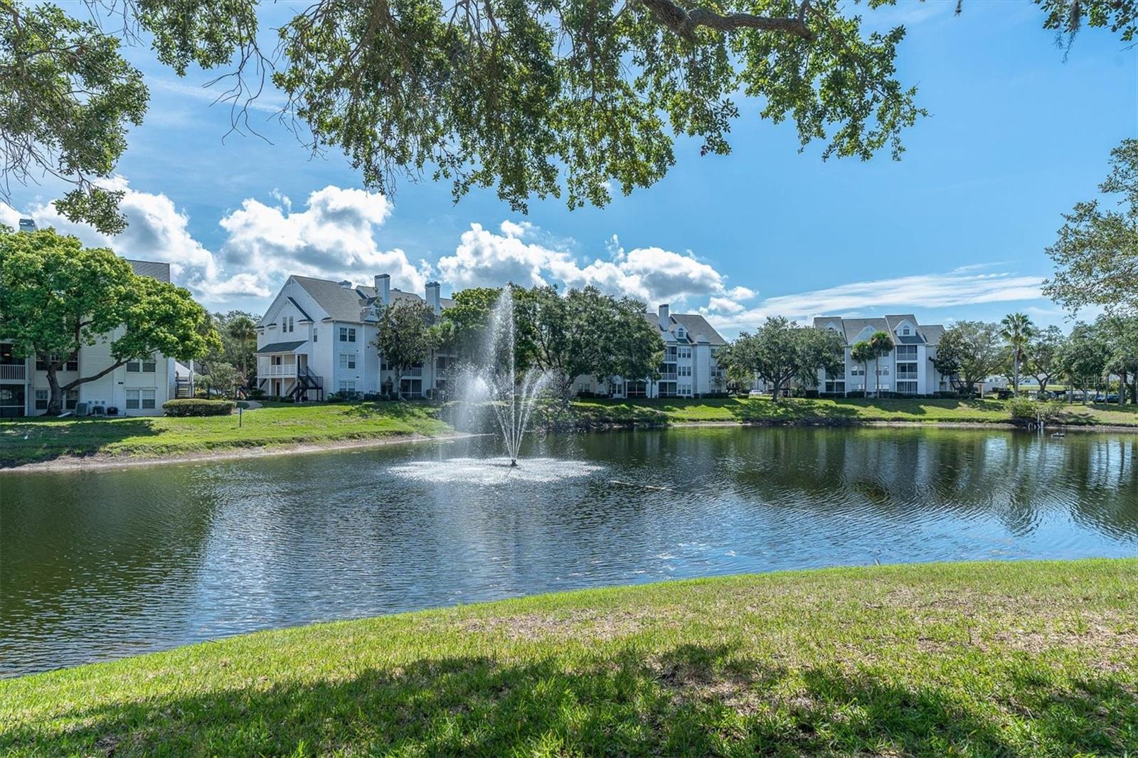 3260 HAVILAND CT #201, PALM HARBOR, FL, 34684