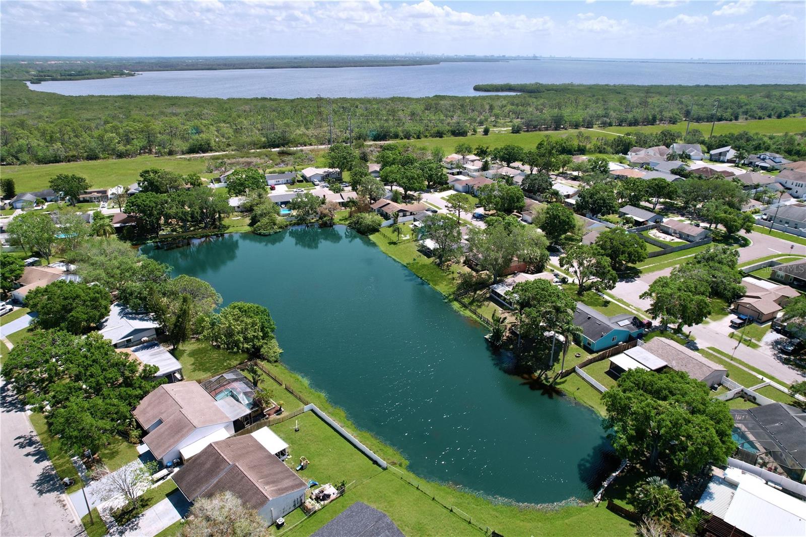 636 TIMBER BAY CIR E, OLDSMAR, FL, 34677