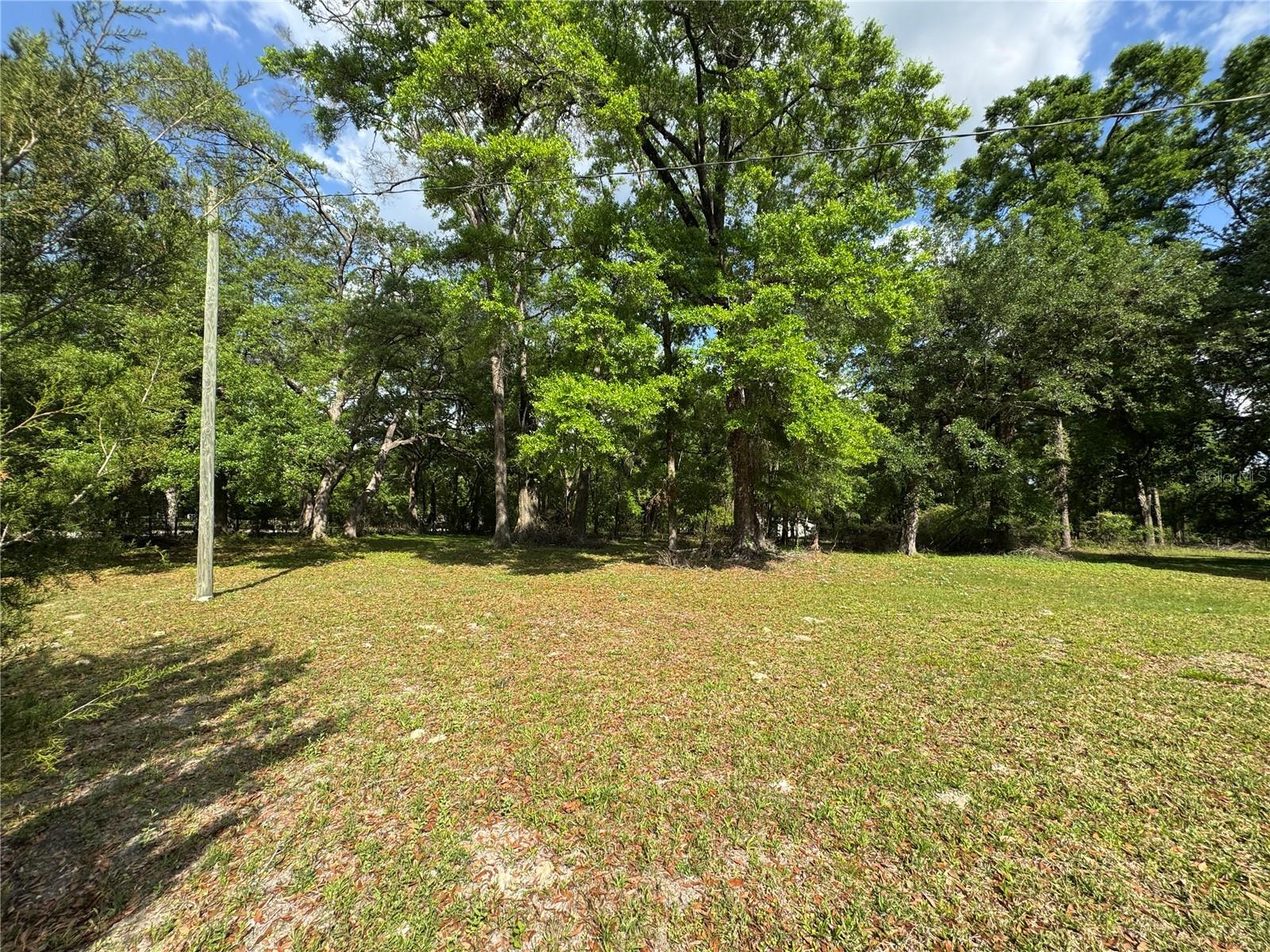 232 SW COLGATE LOOP, FORT WHITE, FL, 32038