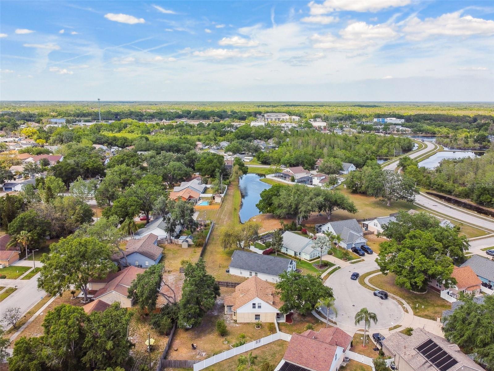 24231 SATINWOOD CT, LUTZ, FL, 33559