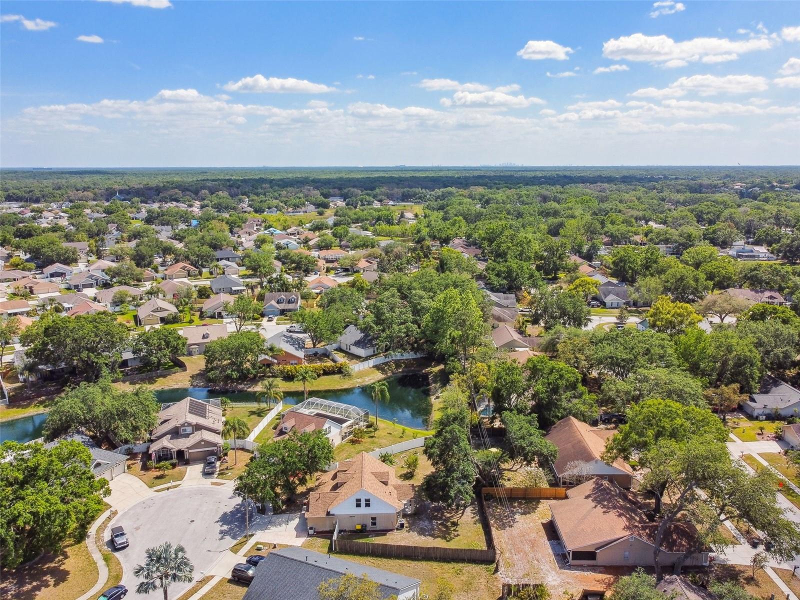 24231 SATINWOOD CT, LUTZ, FL, 33559