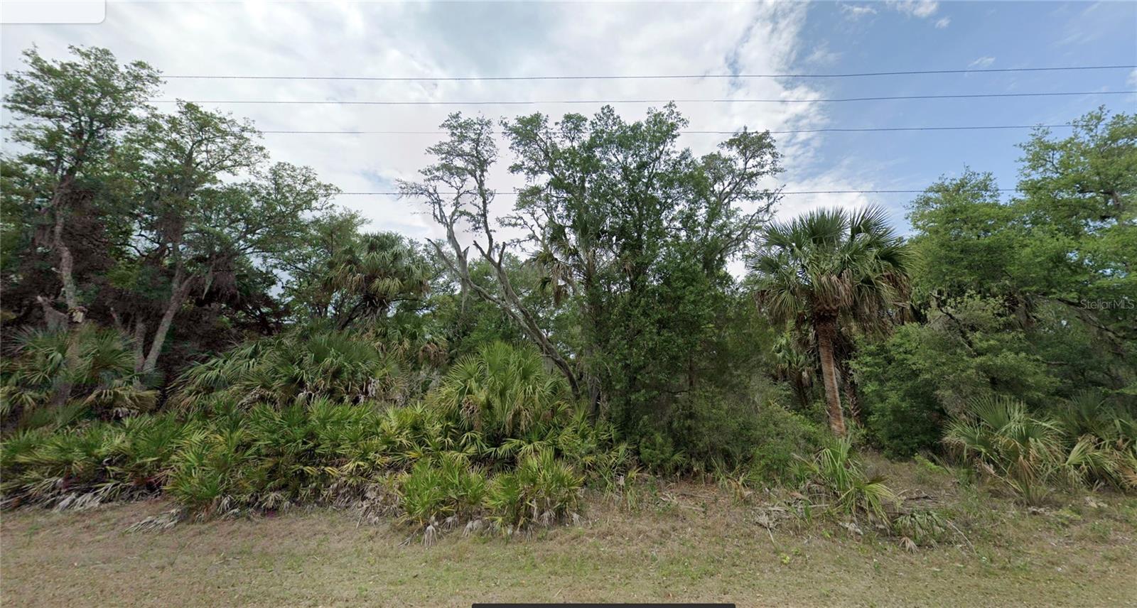 7972 N BASSWOOD AVE, CRYSTAL RIVER, FL, 34428